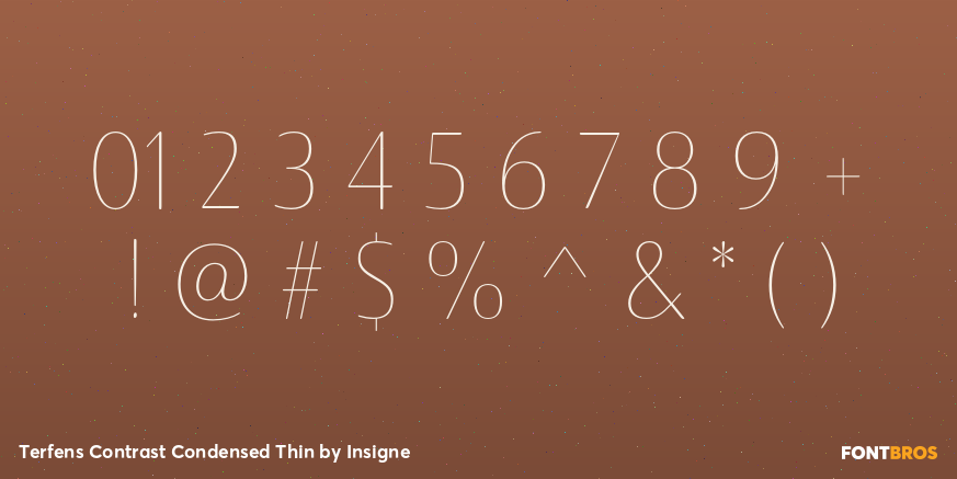Terfens Contrast Condensed Thin Font Poster #4