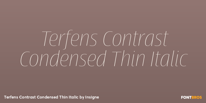 Terfens Contrast Condensed Thin Italic Font Poster #1