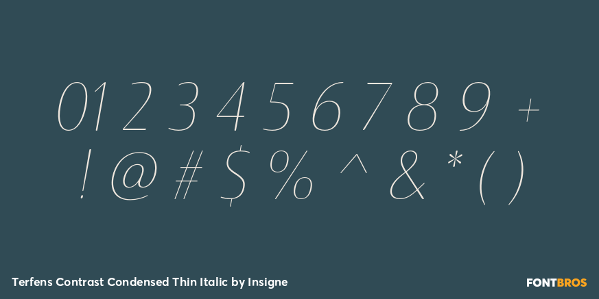 Terfens Contrast Condensed Thin Italic Font Poster #4