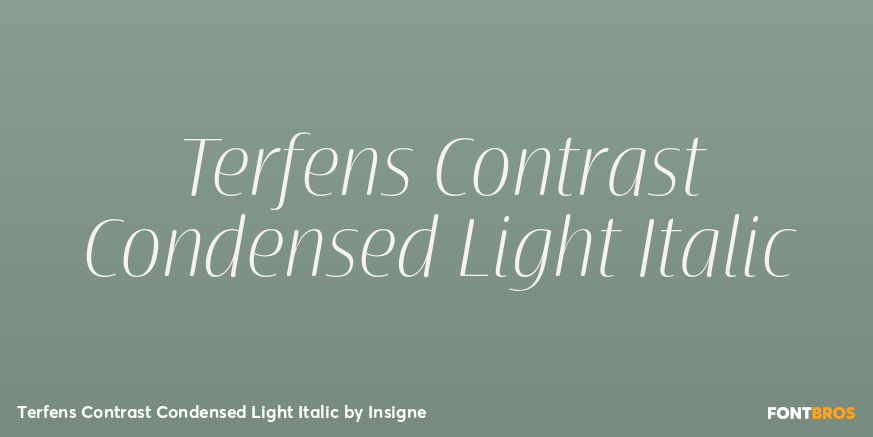 Terfens Contrast Condensed Light Italic Font Poster #1