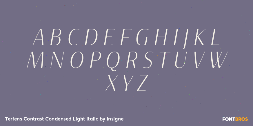 Terfens Contrast Condensed Light Italic Font Poster #2