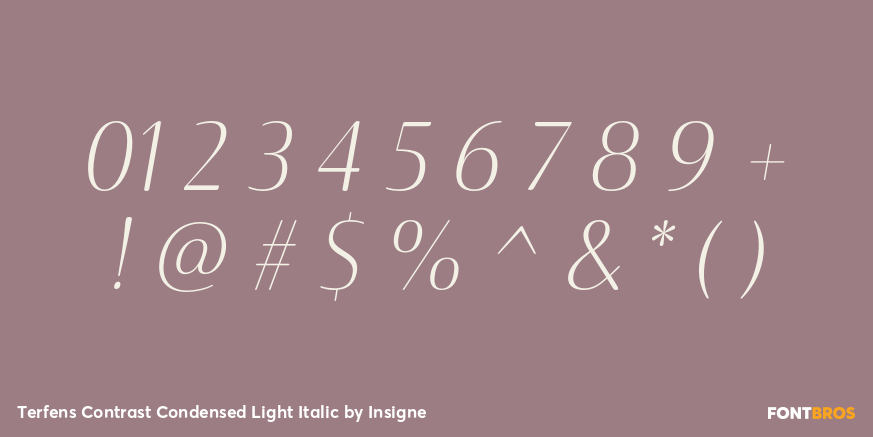 Terfens Contrast Condensed Light Italic Font Poster #4