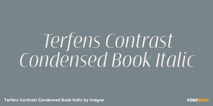 Terfens Contrast Condensed Book Italic Font Poster #1
