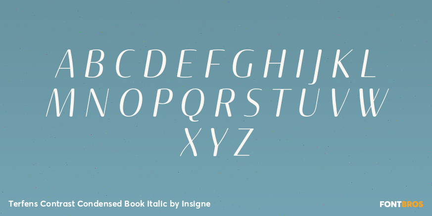 Terfens Contrast Condensed Book Italic Font Poster #2