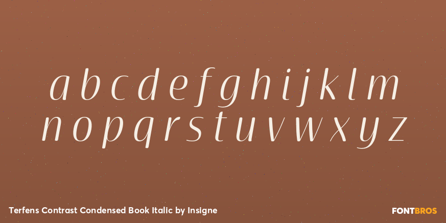 Terfens Contrast Condensed Book Italic Font Poster #3