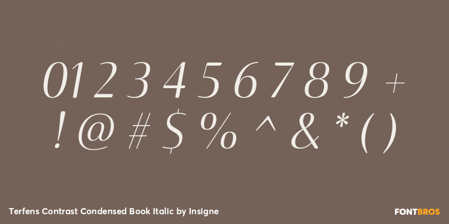 Terfens Contrast Condensed Book Italic Font Poster #4