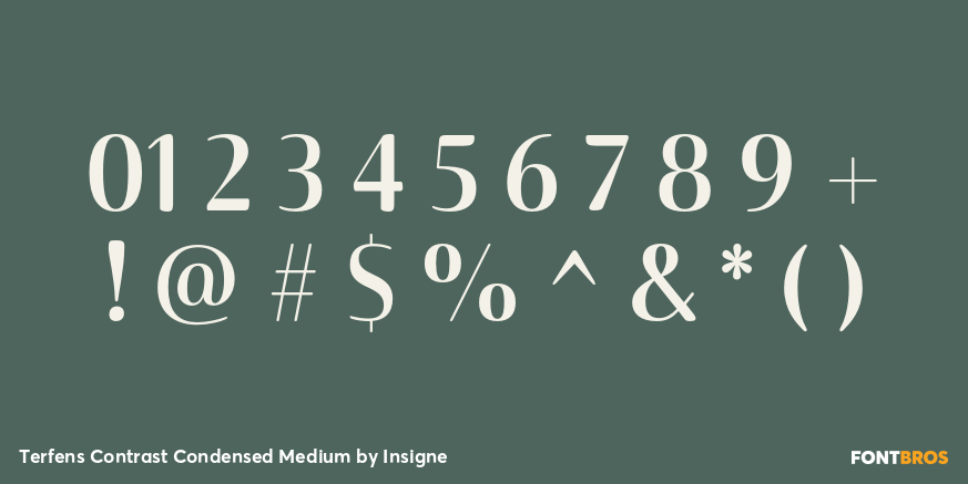 Terfens Contrast Condensed Medium Font Poster #1