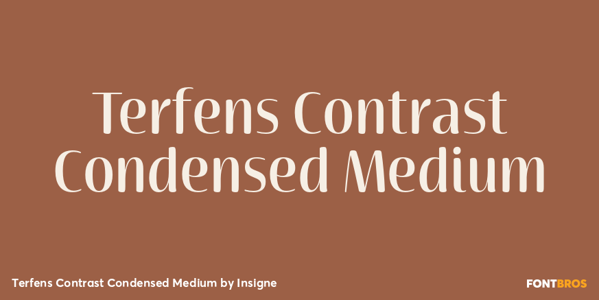 Terfens Contrast Condensed Medium Font Poster #1