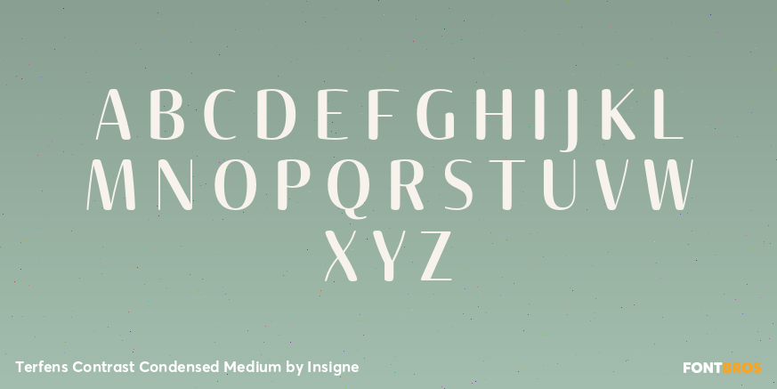 Terfens Contrast Condensed Medium Font Poster #1