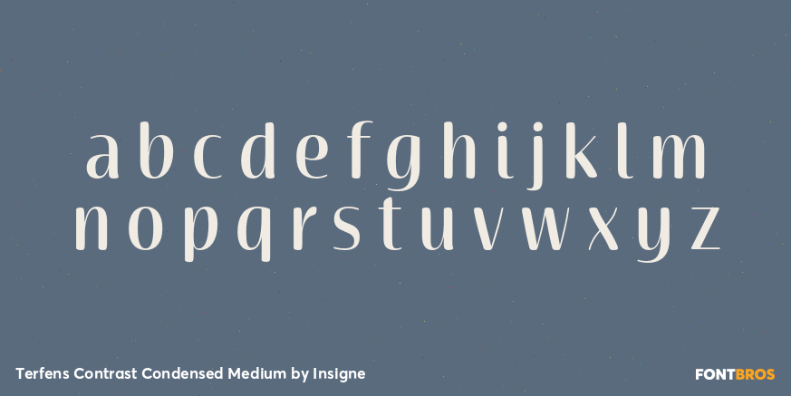 Terfens Contrast Condensed Medium Font Poster #1