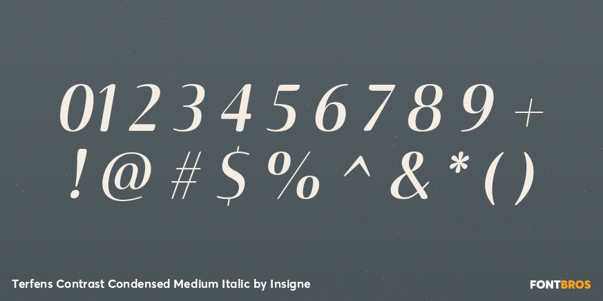 Terfens Contrast Condensed Medium Italic Font Poster #1