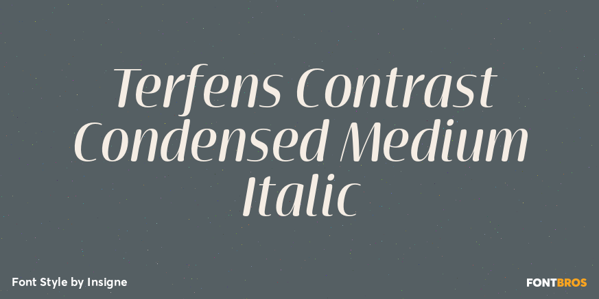 Terfens Contrast Condensed Medium Italic Font Poster #1