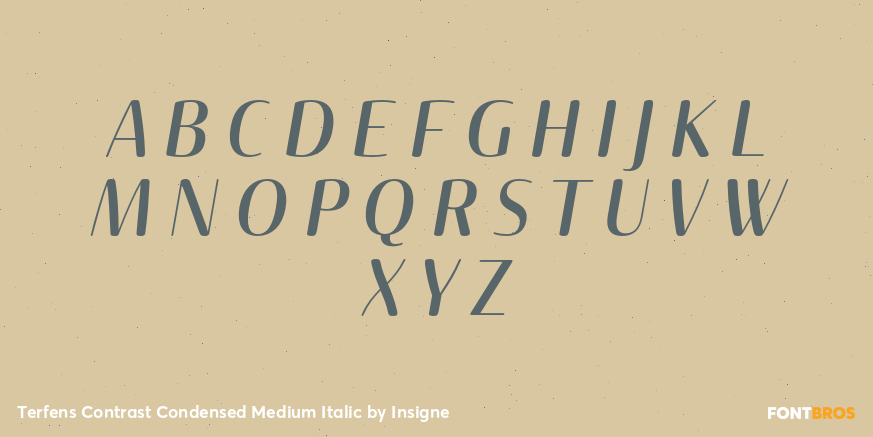 Terfens Contrast Condensed Medium Italic Font Poster #2
