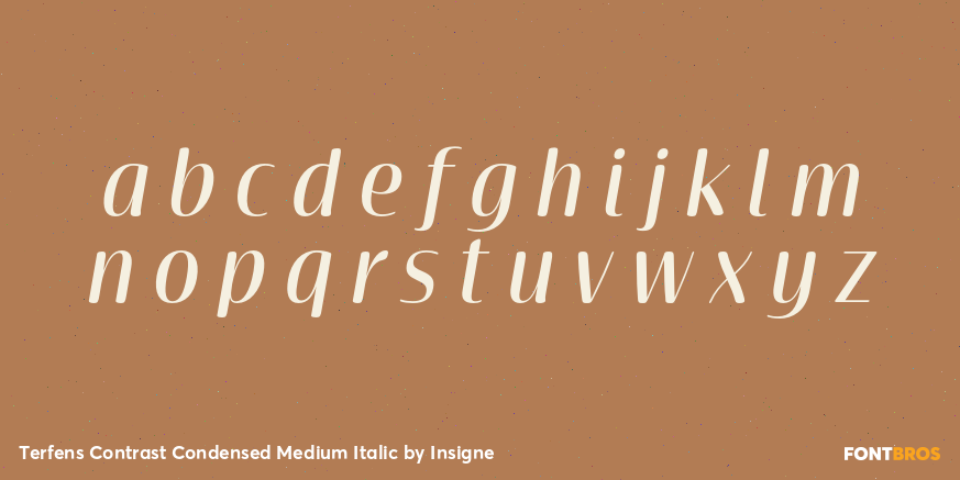 Terfens Contrast Condensed Medium Italic Font Poster #3