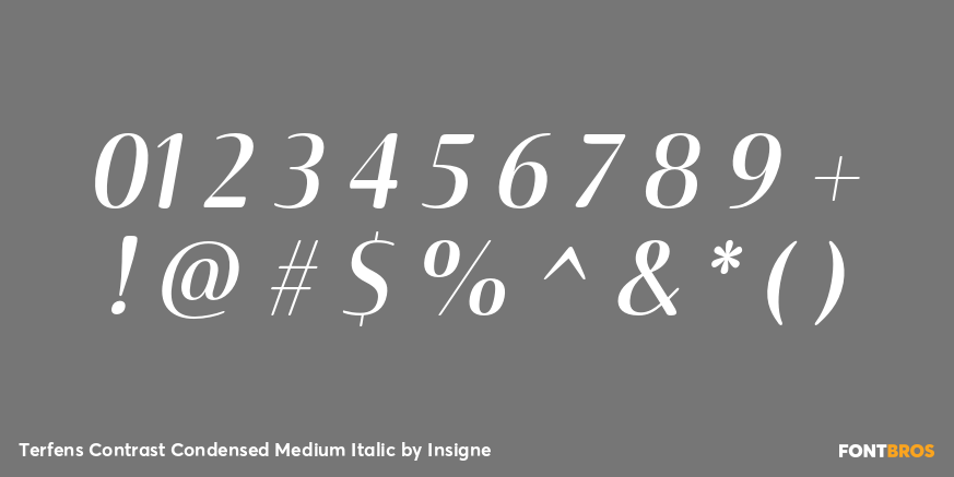 Terfens Contrast Condensed Medium Italic Font Poster #4