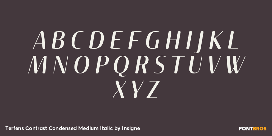 Terfens Contrast Condensed Medium Italic Font Poster #1