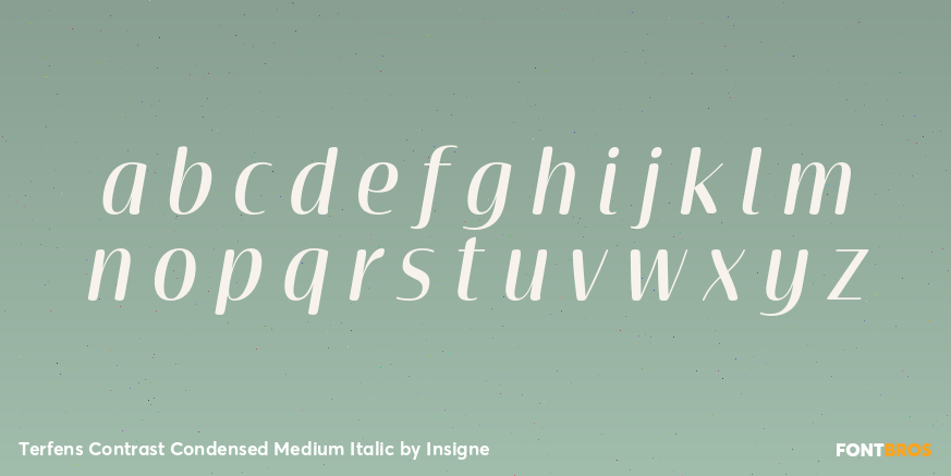 Terfens Contrast Condensed Medium Italic Font Poster #1