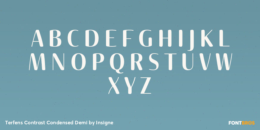 Terfens Contrast Condensed Demi Font Poster #2