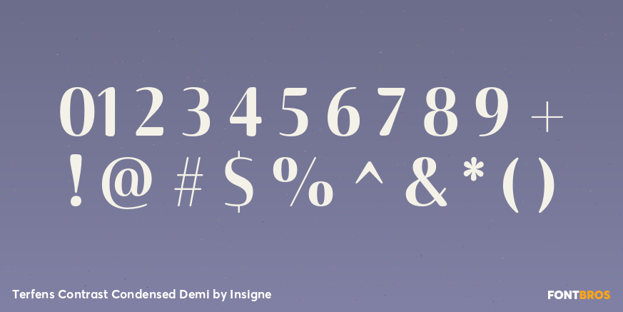 Terfens Contrast Condensed Demi Font Poster #4