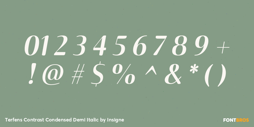 Terfens Contrast Condensed Demi Italic Font Poster #1