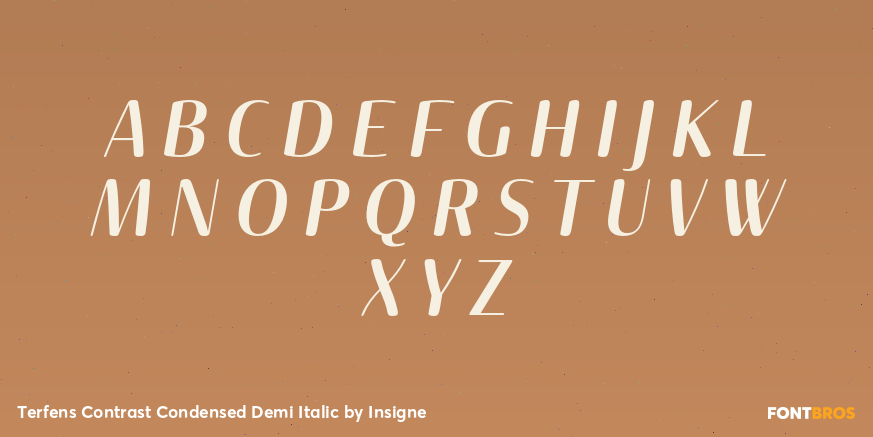 Terfens Contrast Condensed Demi Italic Font Poster #2