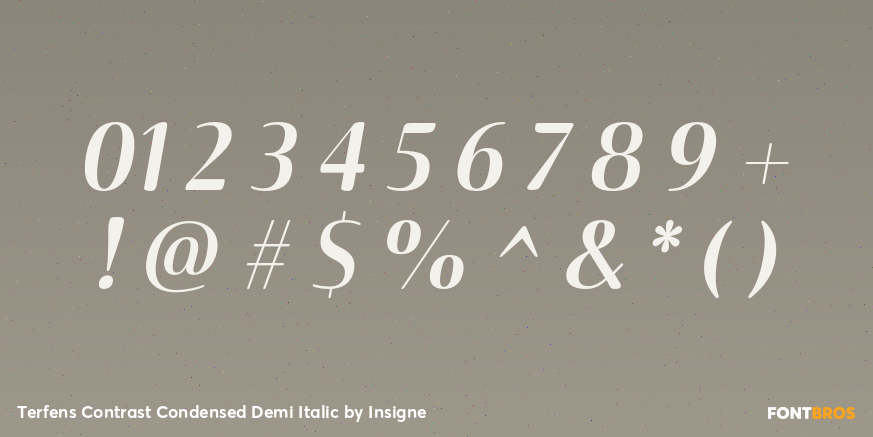 Terfens Contrast Condensed Demi Italic Font Poster #4
