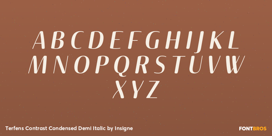 Terfens Contrast Condensed Demi Italic Font Poster #1