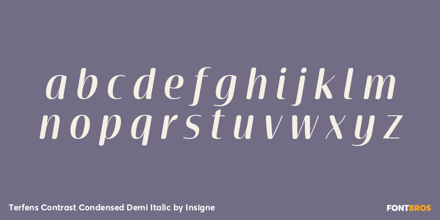 Terfens Contrast Condensed Demi Italic Font Poster #1