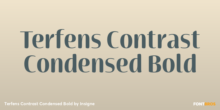 Terfens Contrast Condensed Bold Font Poster #1