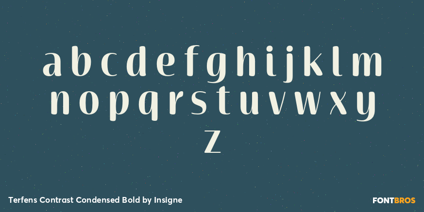 Terfens Contrast Condensed Bold Font Poster #1
