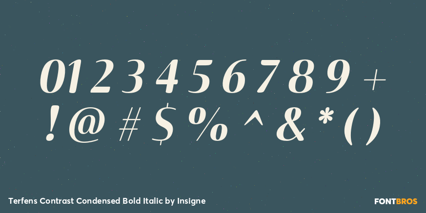 Terfens Contrast Condensed Bold Italic Font Poster #1