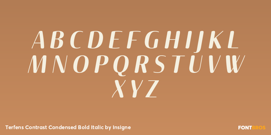 Terfens Contrast Condensed Bold Italic Font Poster #1
