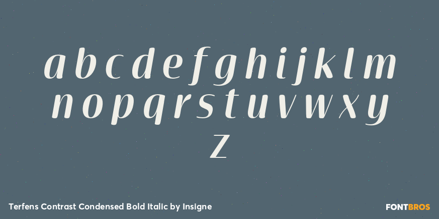 Terfens Contrast Condensed Bold Italic Font Poster #1