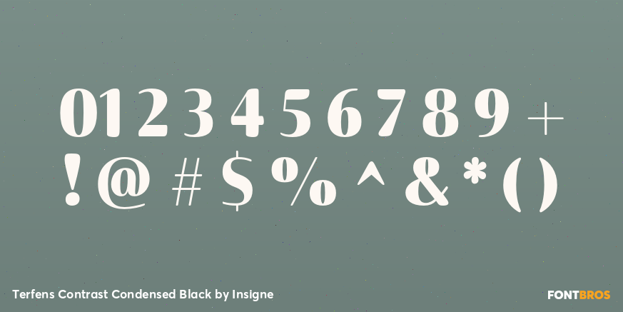 Terfens Contrast Condensed Black Font Poster #1