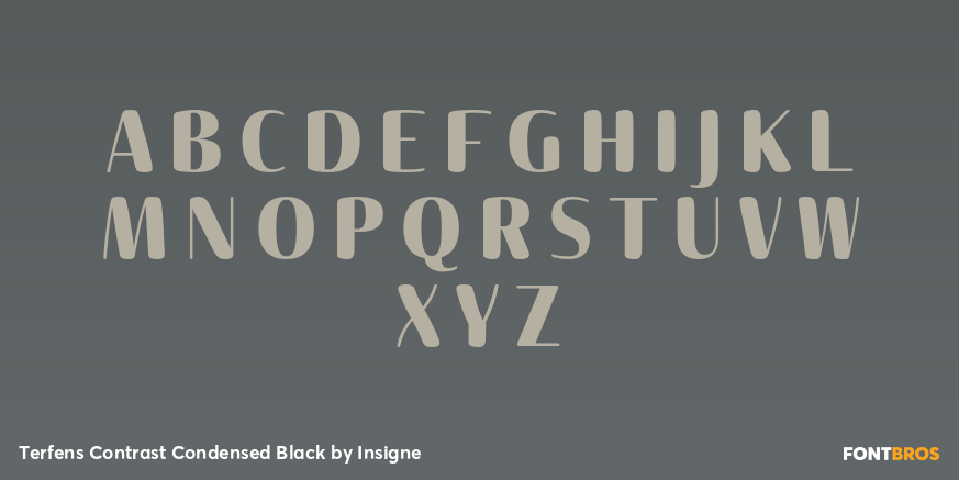 Terfens Contrast Condensed Black Font Poster #2