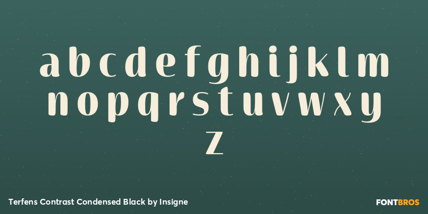 Terfens Contrast Condensed Black Font Poster #3