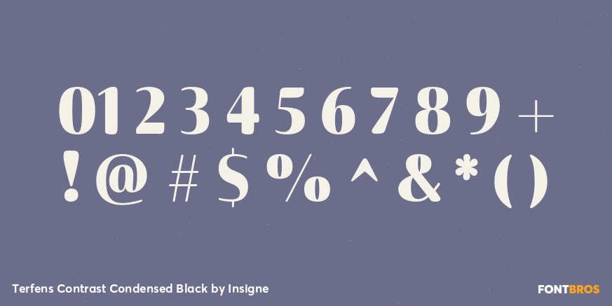 Terfens Contrast Condensed Black Font Poster #4