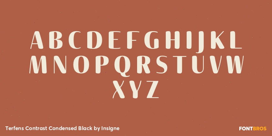 Terfens Contrast Condensed Black Font Poster #1