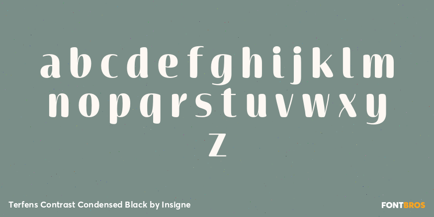 Terfens Contrast Condensed Black Font Poster #1