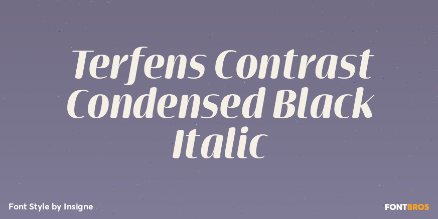 Terfens Contrast Condensed Black Italic Font Poster #1