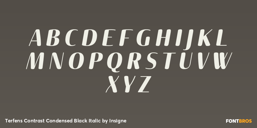 Terfens Contrast Condensed Black Italic Font Poster #2