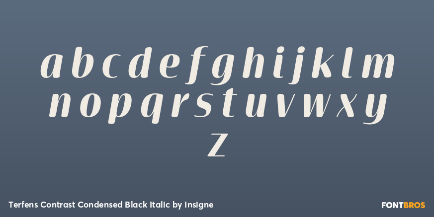 Terfens Contrast Condensed Black Italic Font Poster #3