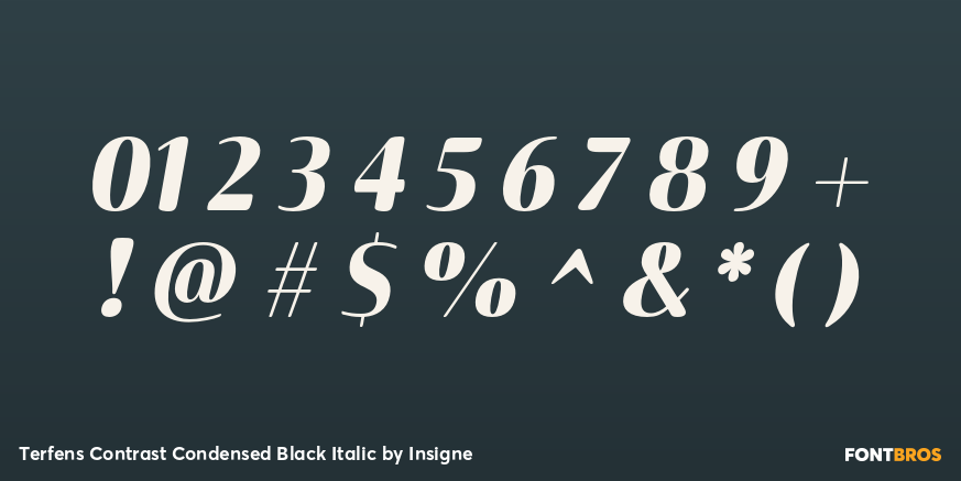 Terfens Contrast Condensed Black Italic Font Poster #4