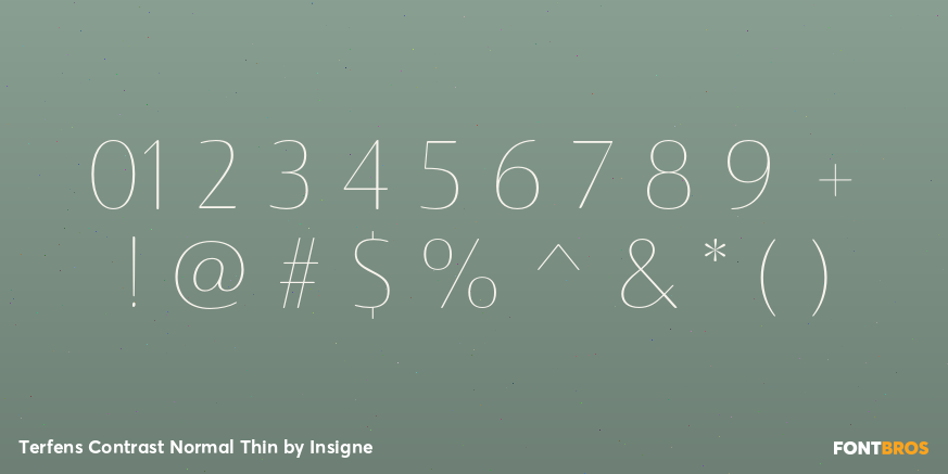 Terfens Contrast Normal Thin Font Poster #1