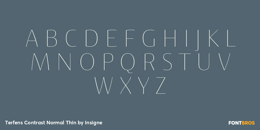 Terfens Contrast Normal Thin Font Poster #1