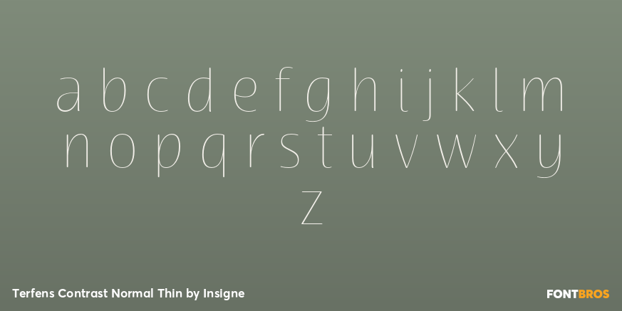 Terfens Contrast Normal Thin Font Poster #1