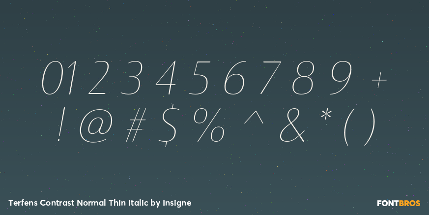 Terfens Contrast Normal Thin Italic Font Poster #1
