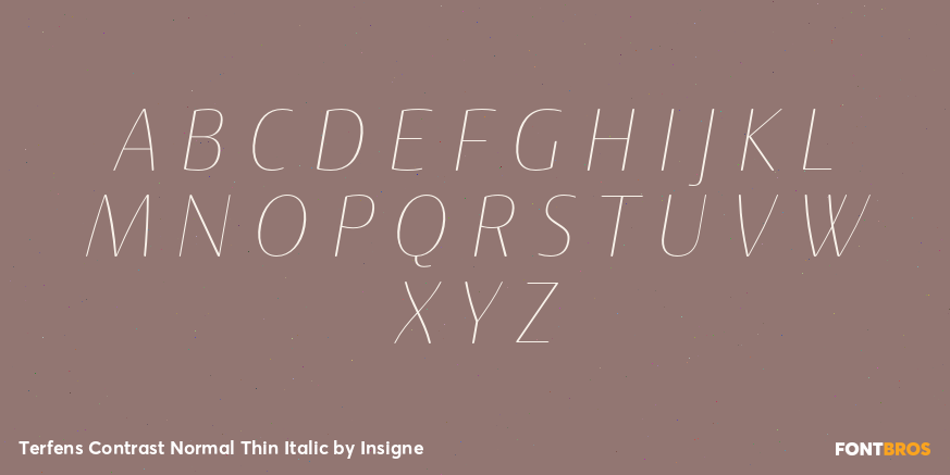 Terfens Contrast Normal Thin Italic Font Poster #1