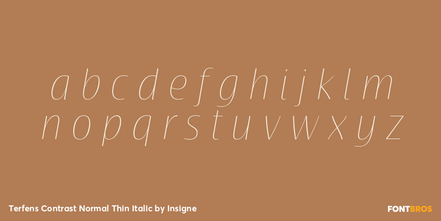 Terfens Contrast Normal Thin Italic Font Poster #1