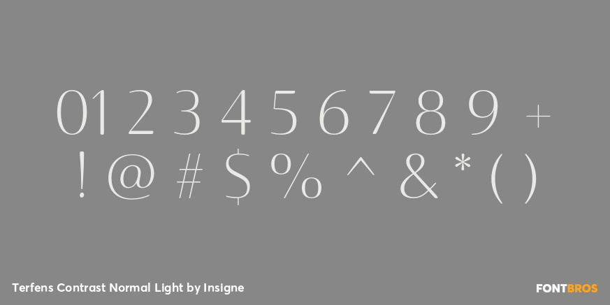Terfens Contrast Normal Light Font Poster #1